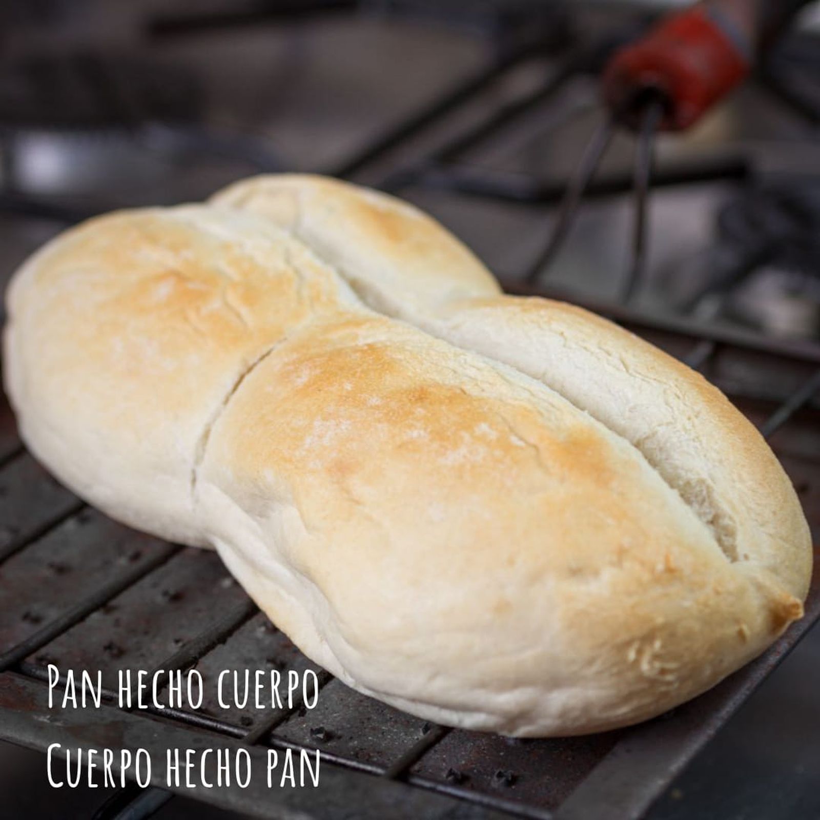 195626535_10225264672860533_6730684629748575742_n