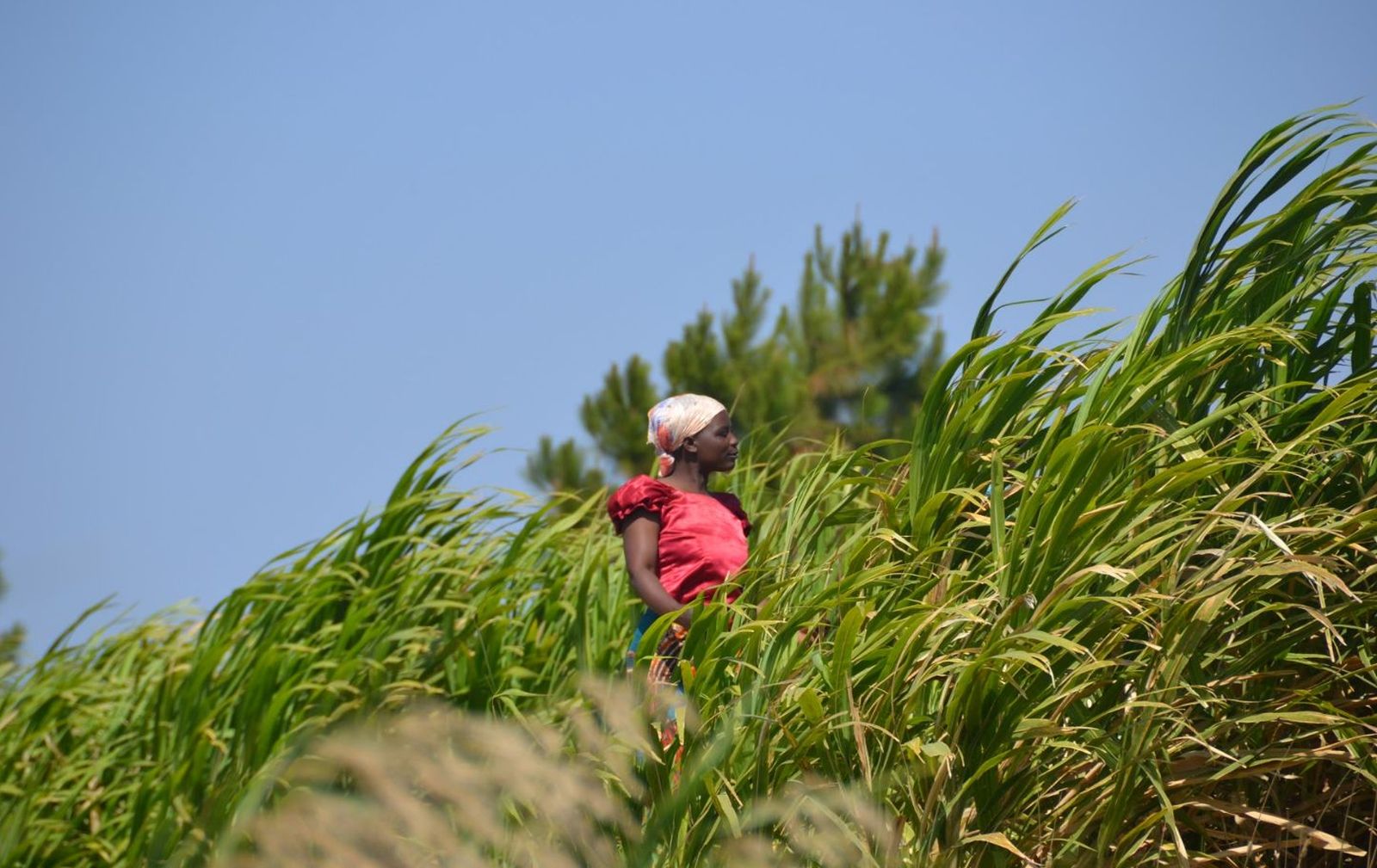 Manos Unidas en Malaui