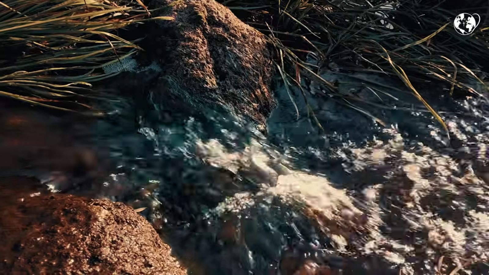 El Video del Papa. Por el cuidado del agua