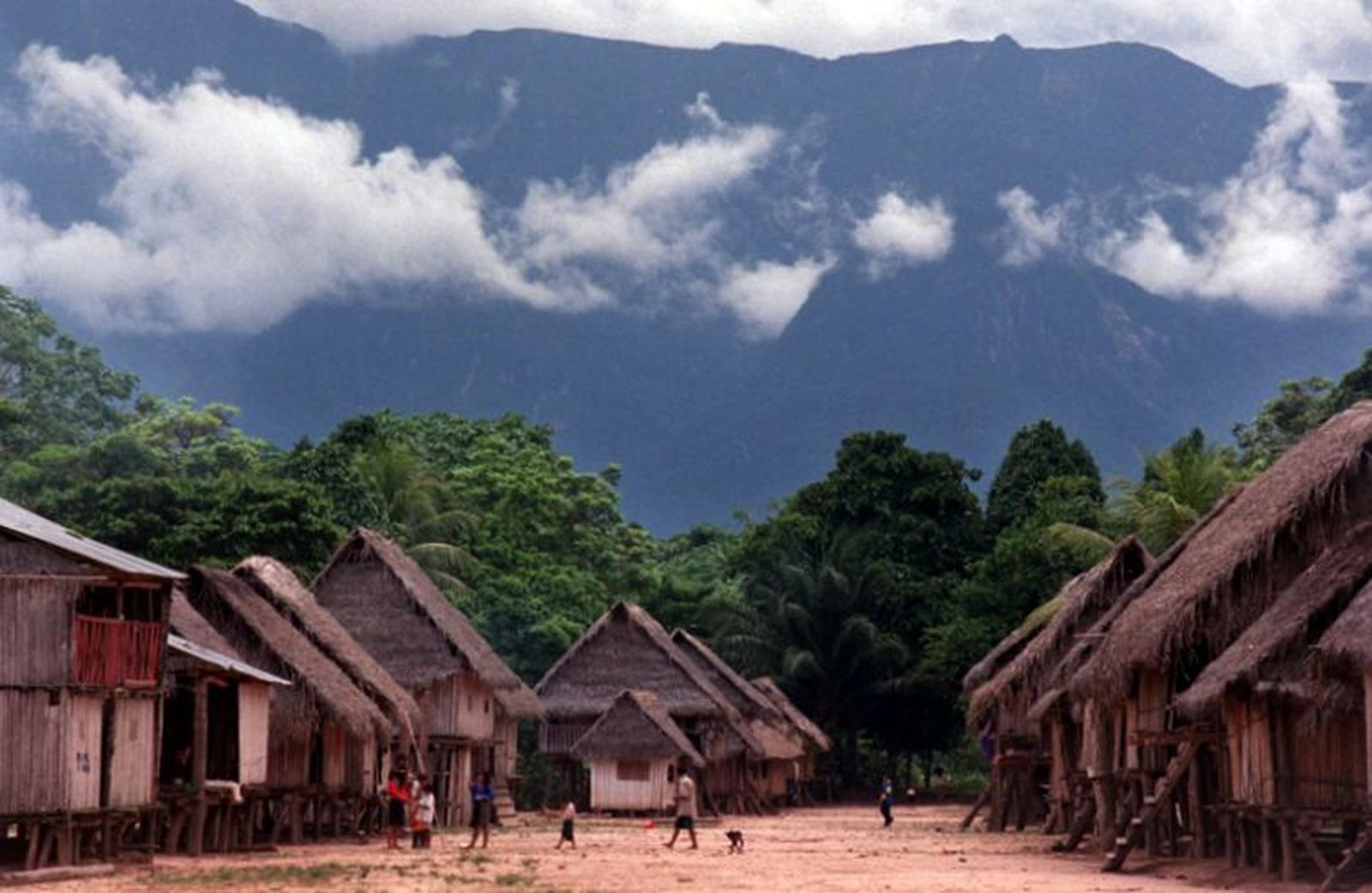 La Cordillera Azul, en las cercanías del territorio kakataibo