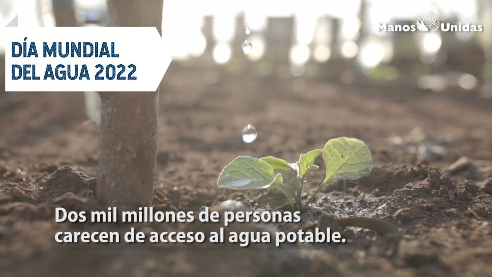 El acceso regular al agua potable sigue siendo utópico para un tercio del planeta.