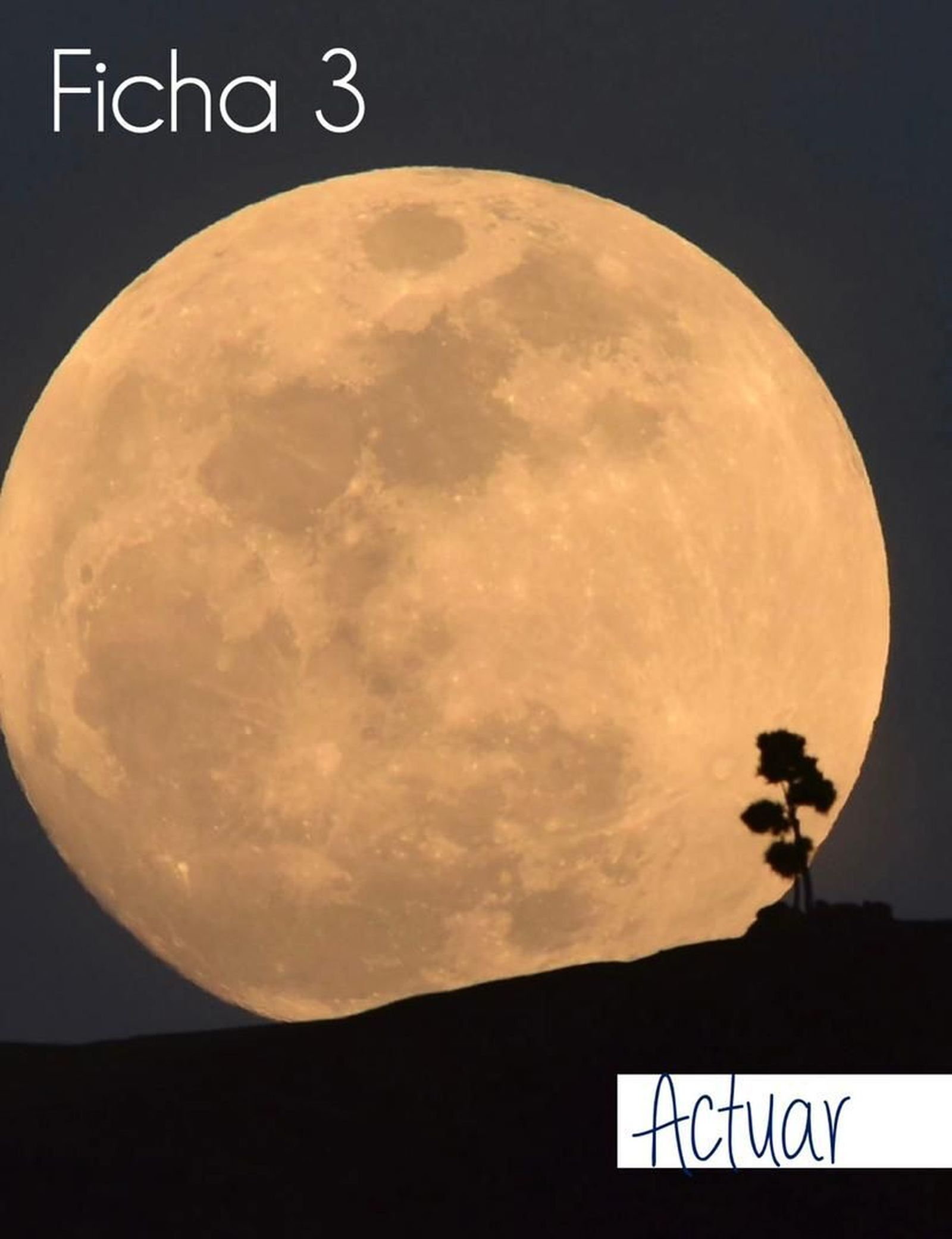 El Proceso de Escucha impela acciones concretas en la Iglesia cubana