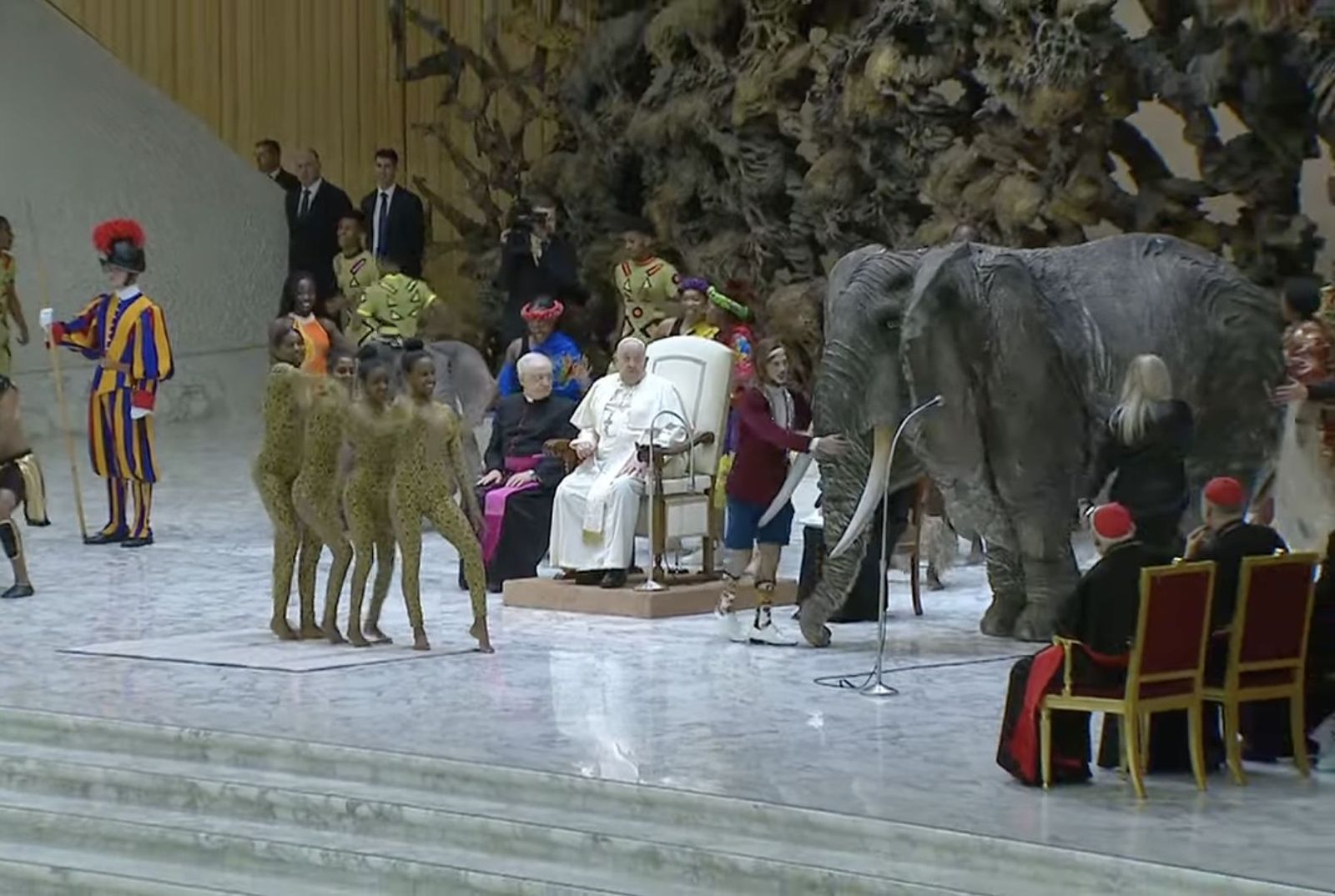 El Papa observa la exhibición circense durante la audiencia general