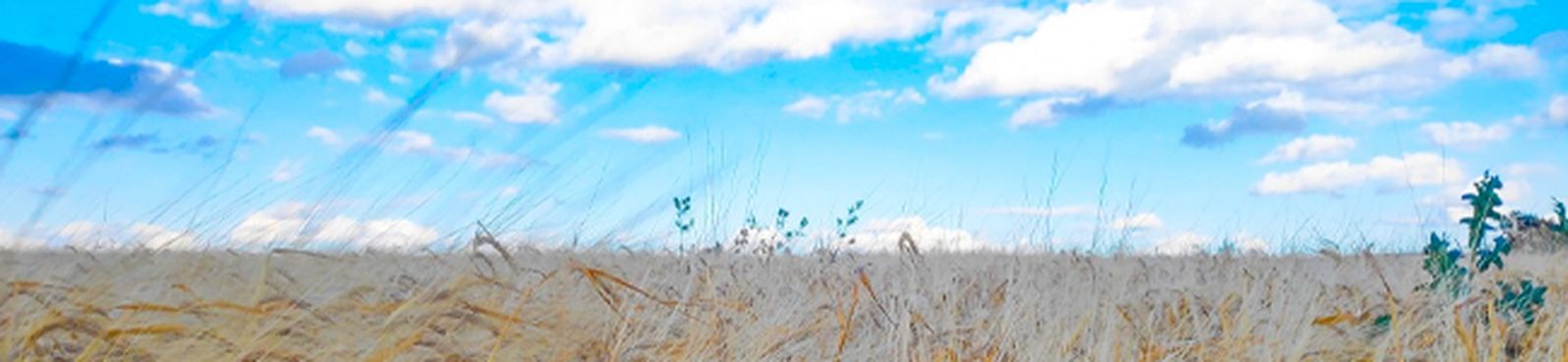 bach-walton-coral-bwv727