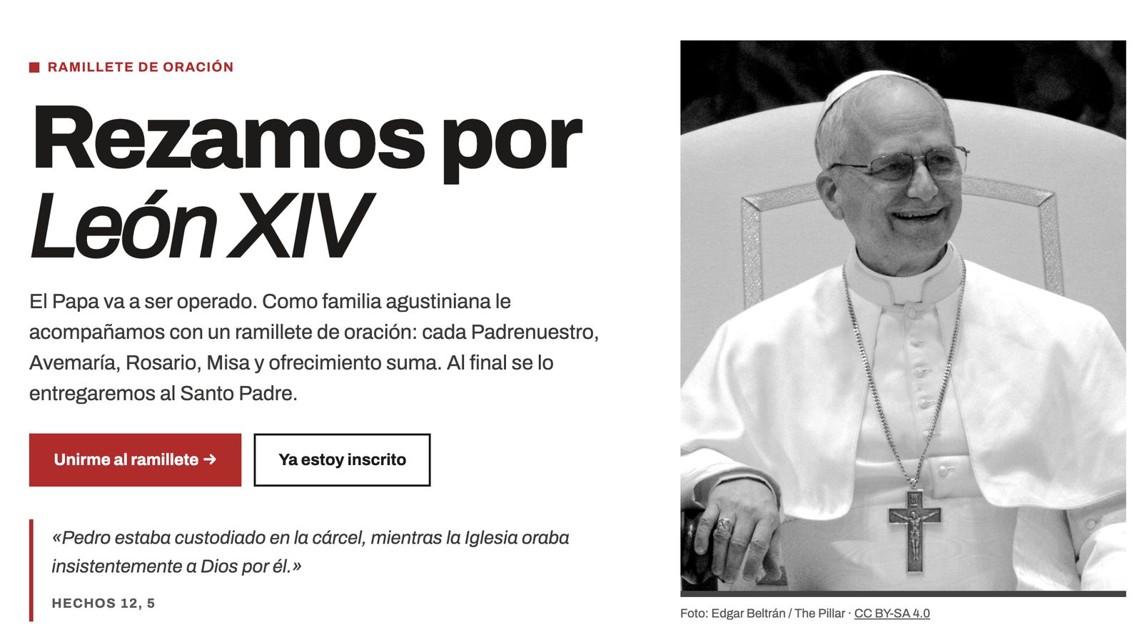 Agustinos con el Papa
