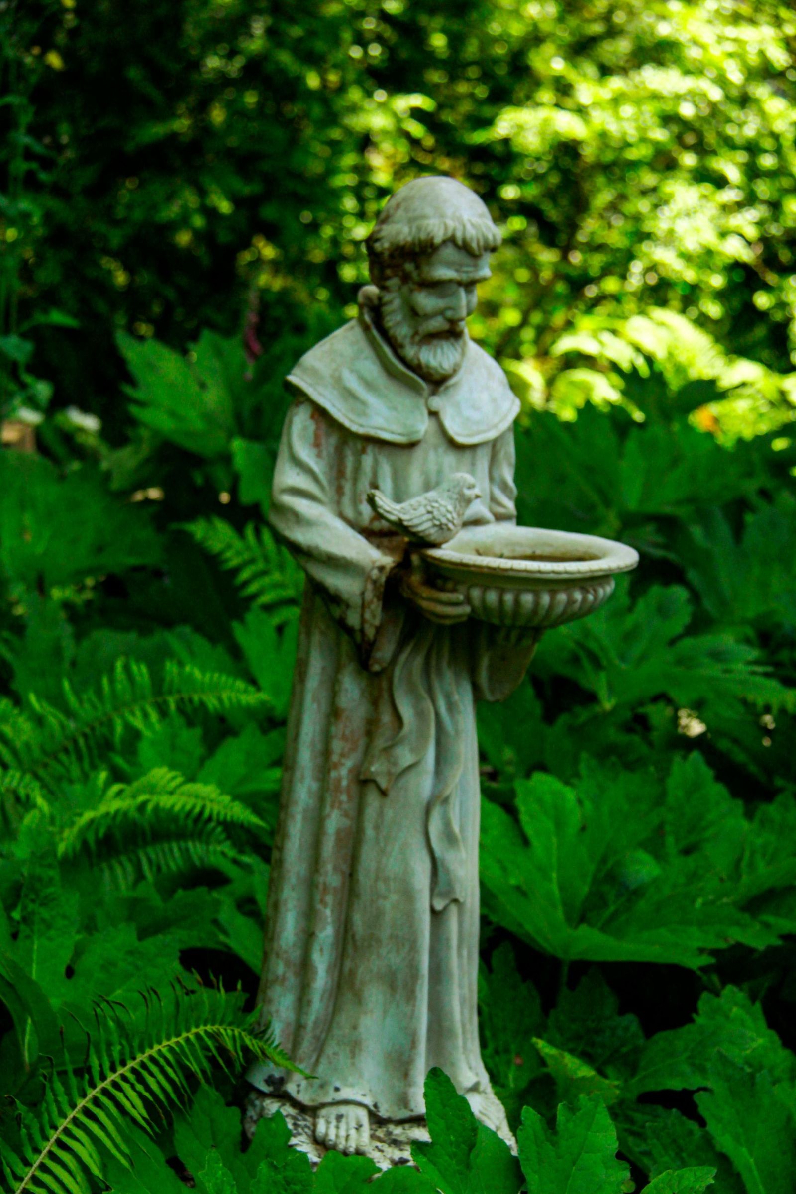❤️  Continuación: Alabanzas al Dios Altísimo  (San Francisco de Asís)  «Tú eres gozo y alegría,  Tú eres nuestra esperanza».