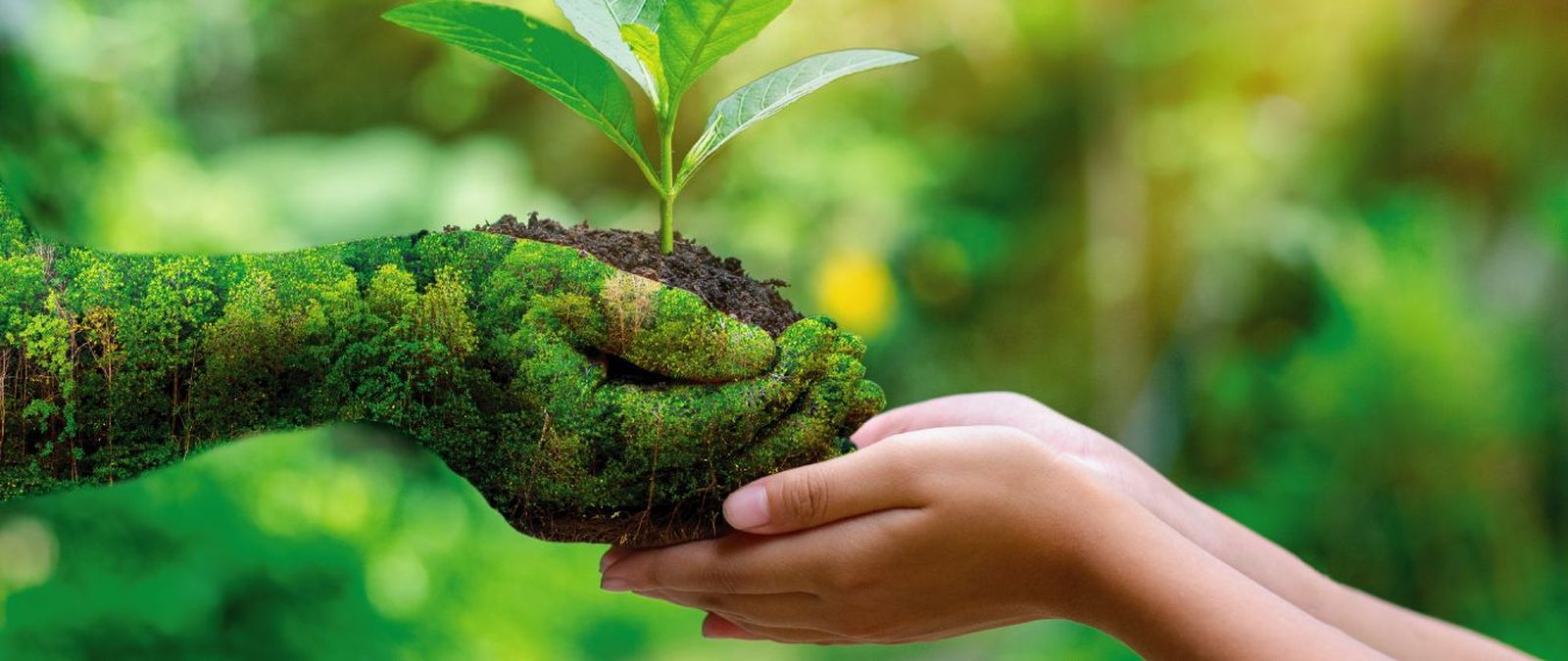 Cuidar el planeta es crear futuro