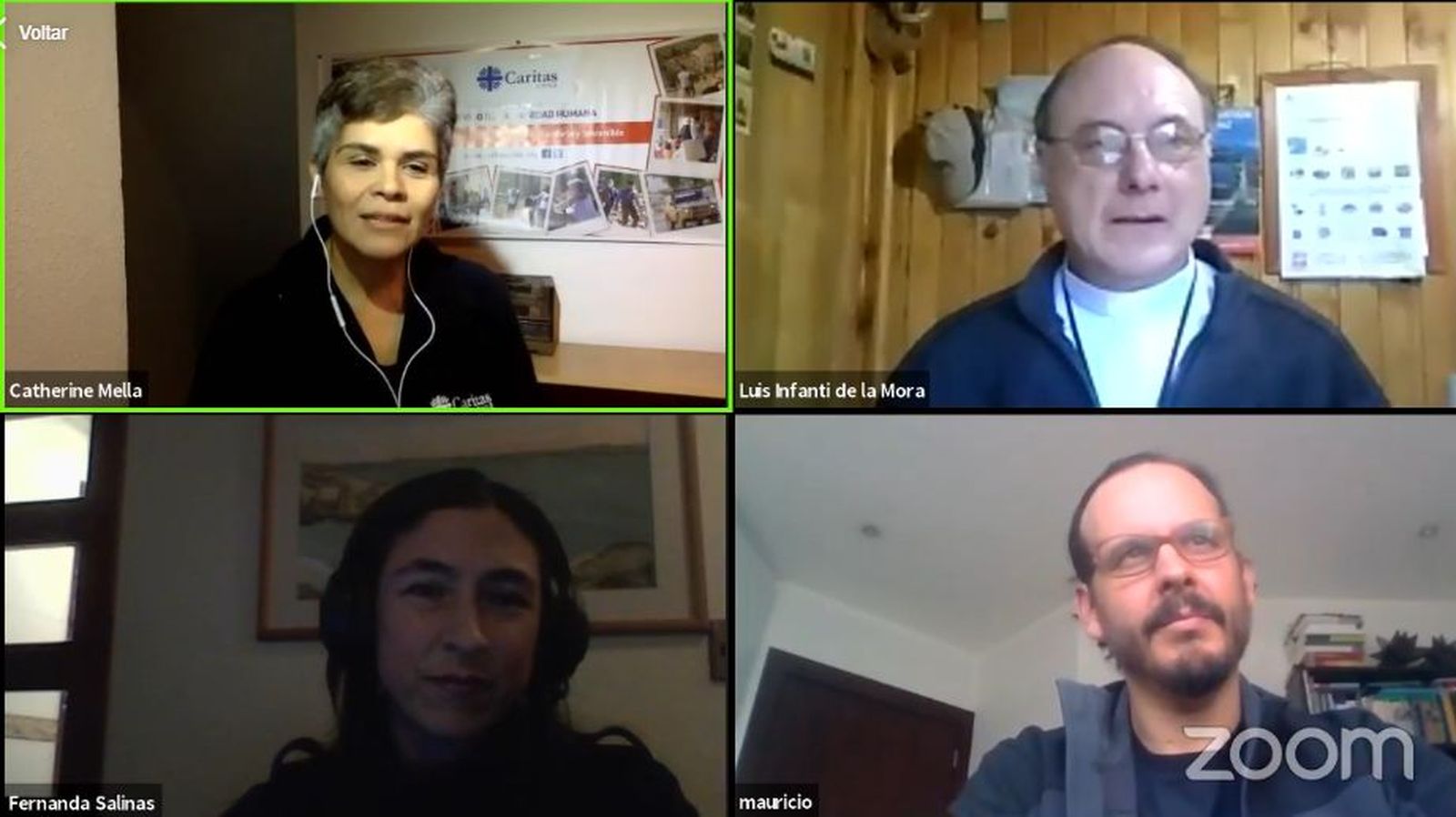 Webinair organizado por Caritas Chile