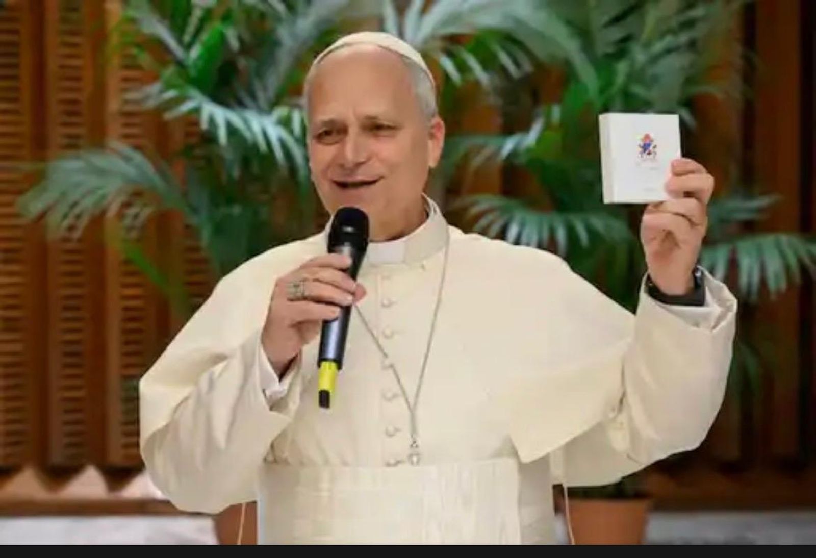 El Papa, durante el consistorio