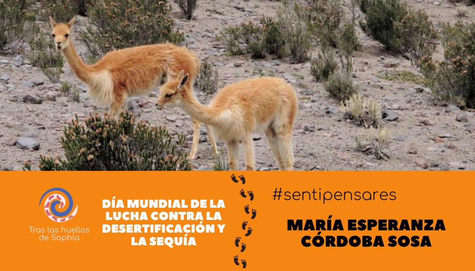 Día mundial de la lucha contra la desertificación y la sequía