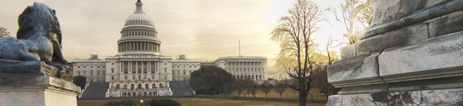 advance-democracy-britten