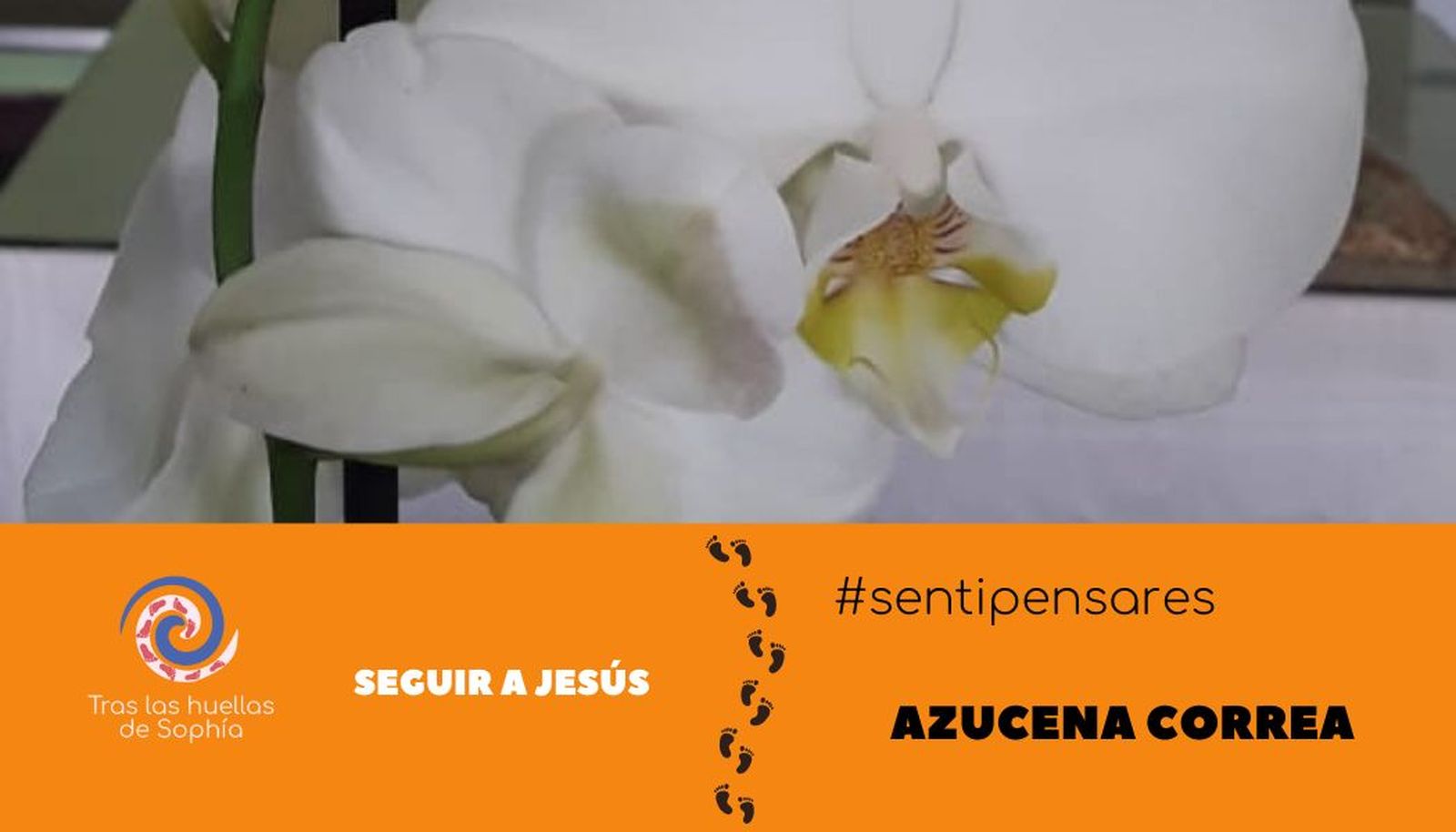 Seguir a Jesús