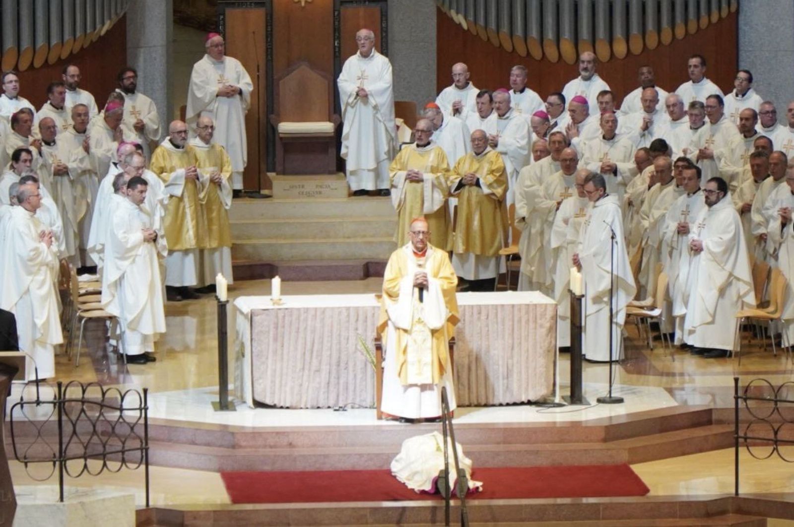 El cardenal Omella presidió la ordenación episcopal de David Abadías
