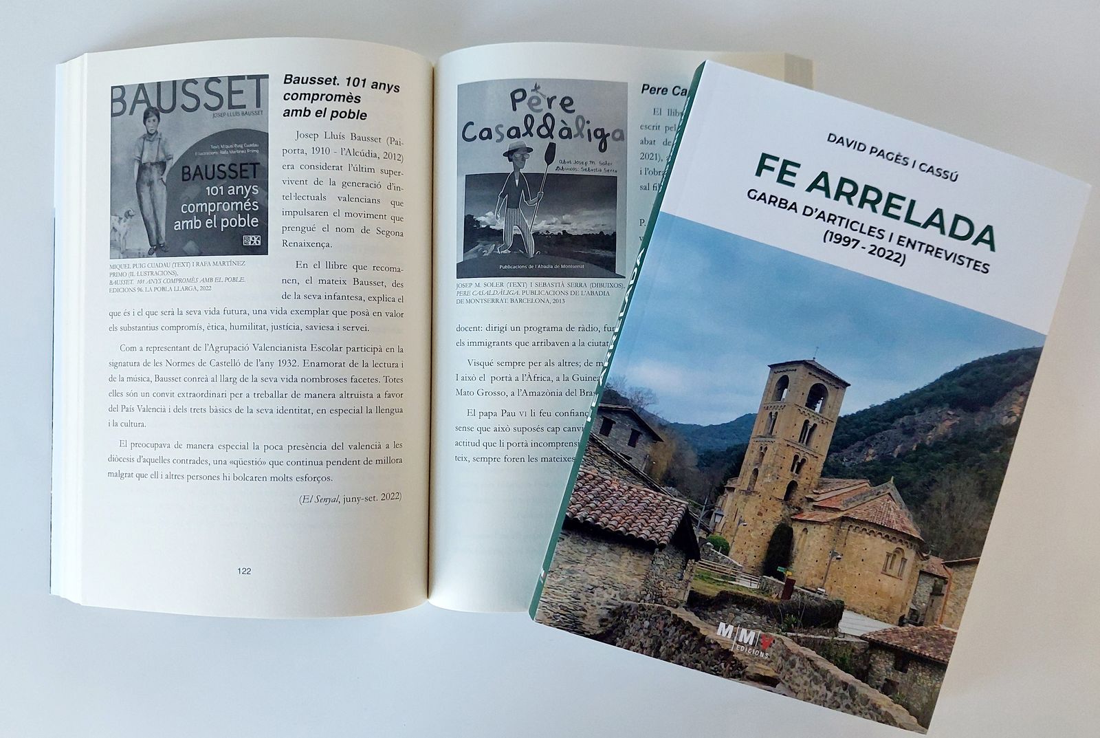 Fe arrelada, el nou llibre de David Pagès