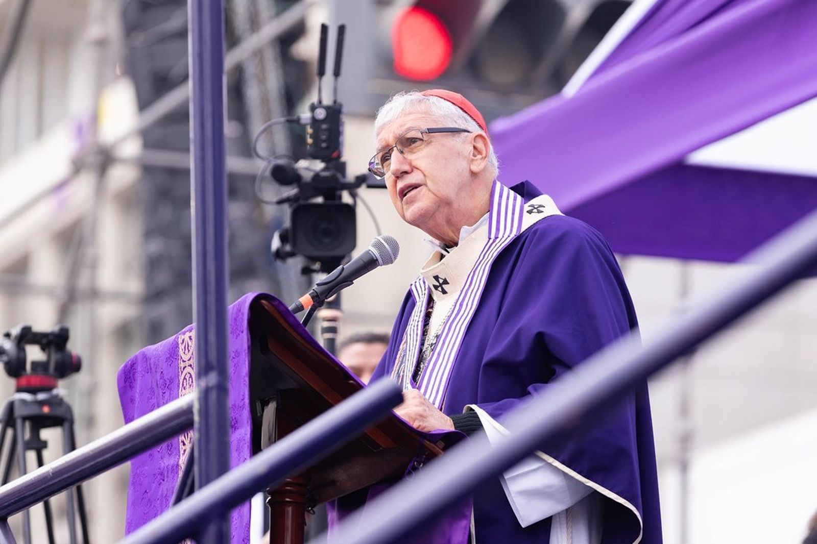 El cardenal Castillo