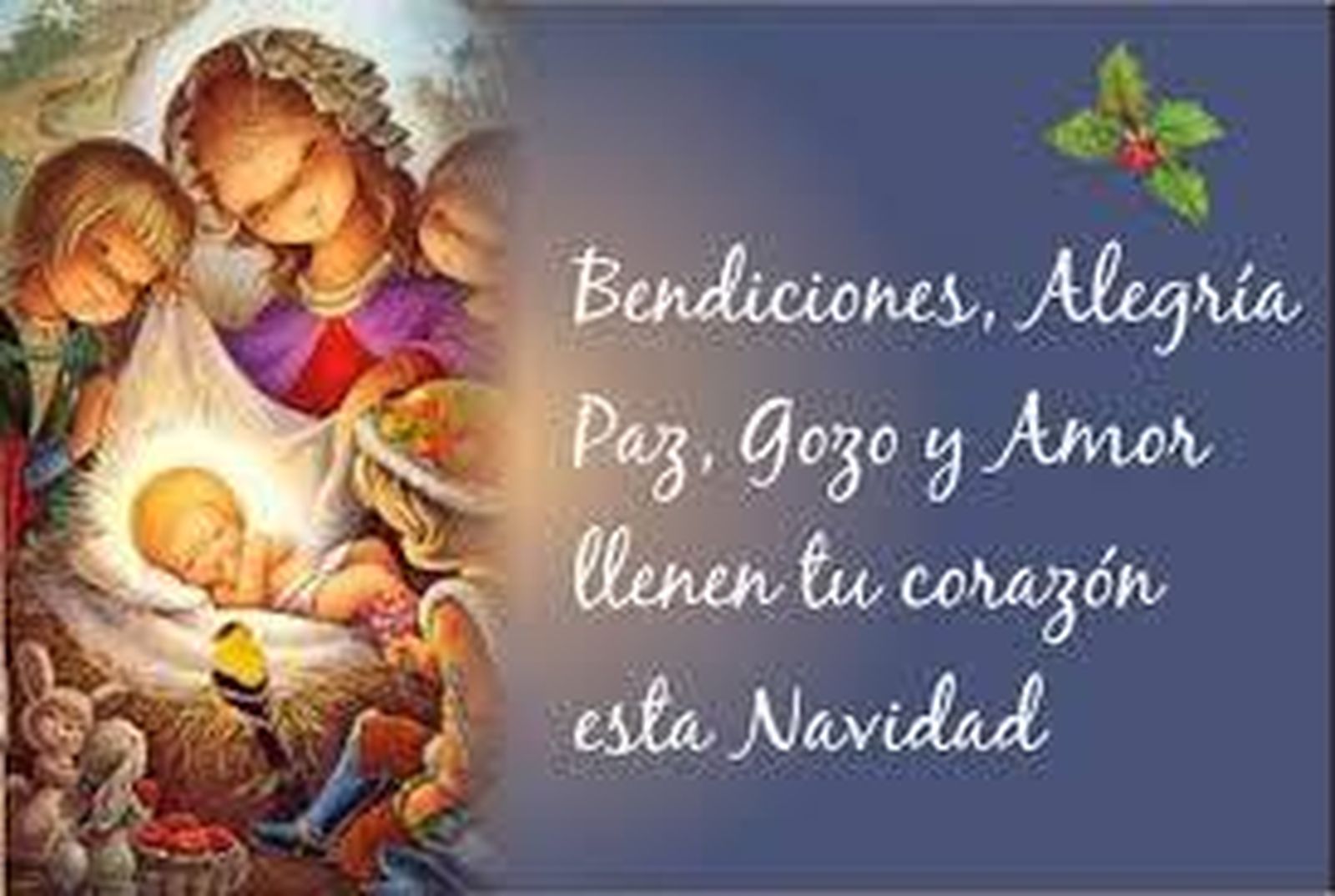 Feliz Navidad desde el corazón