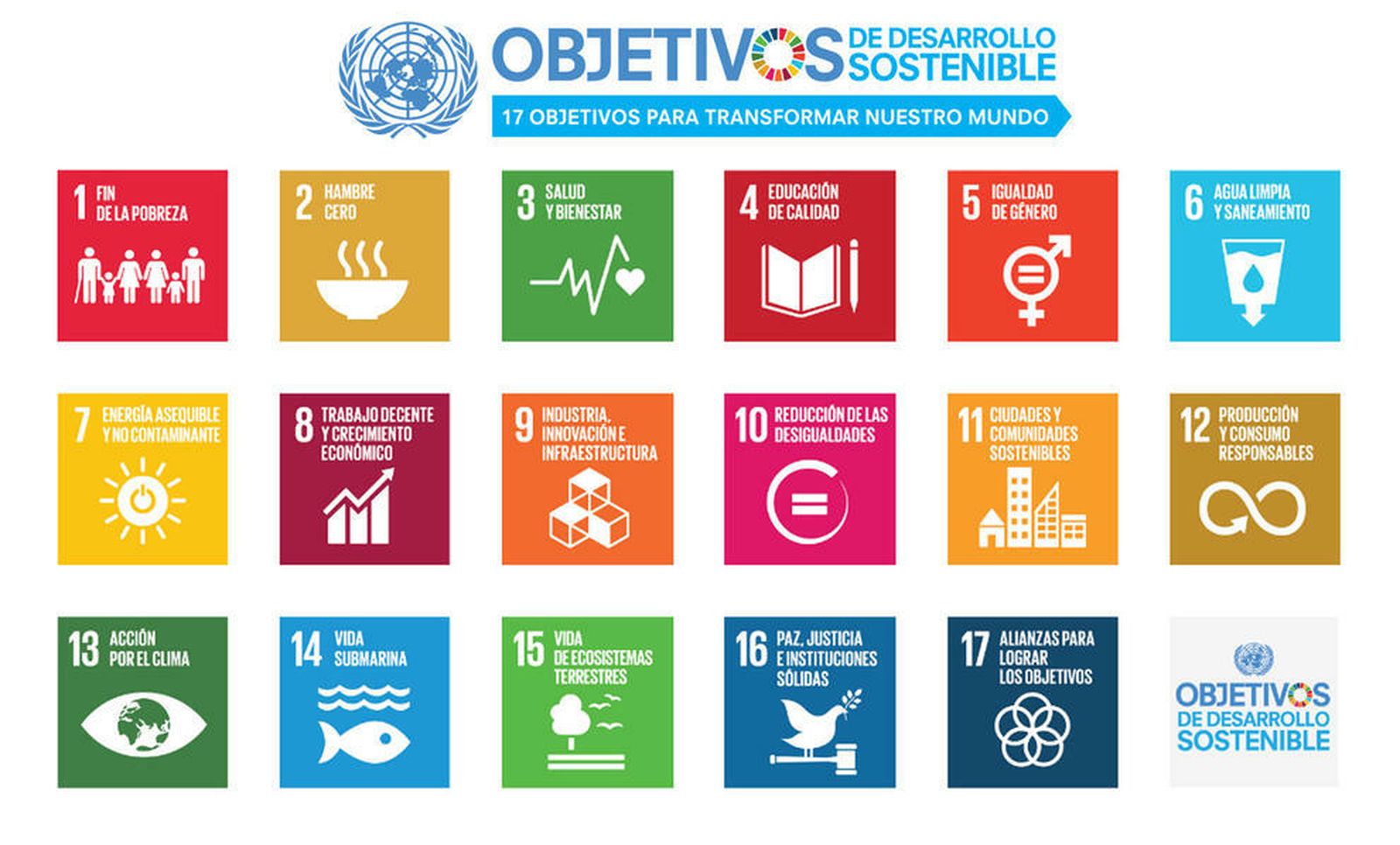 Cuatro años de los Objetivos de Desarrollo Sostenible y de la Agenda 2030