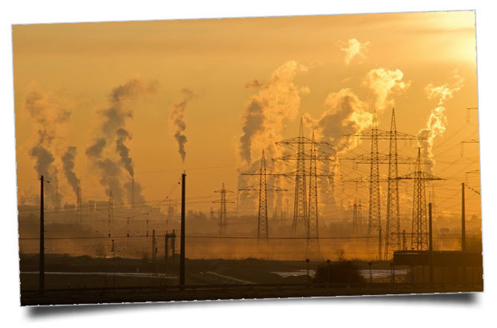 Las organizaciones religiosas son pioneras en la lucha contra el cambio climático