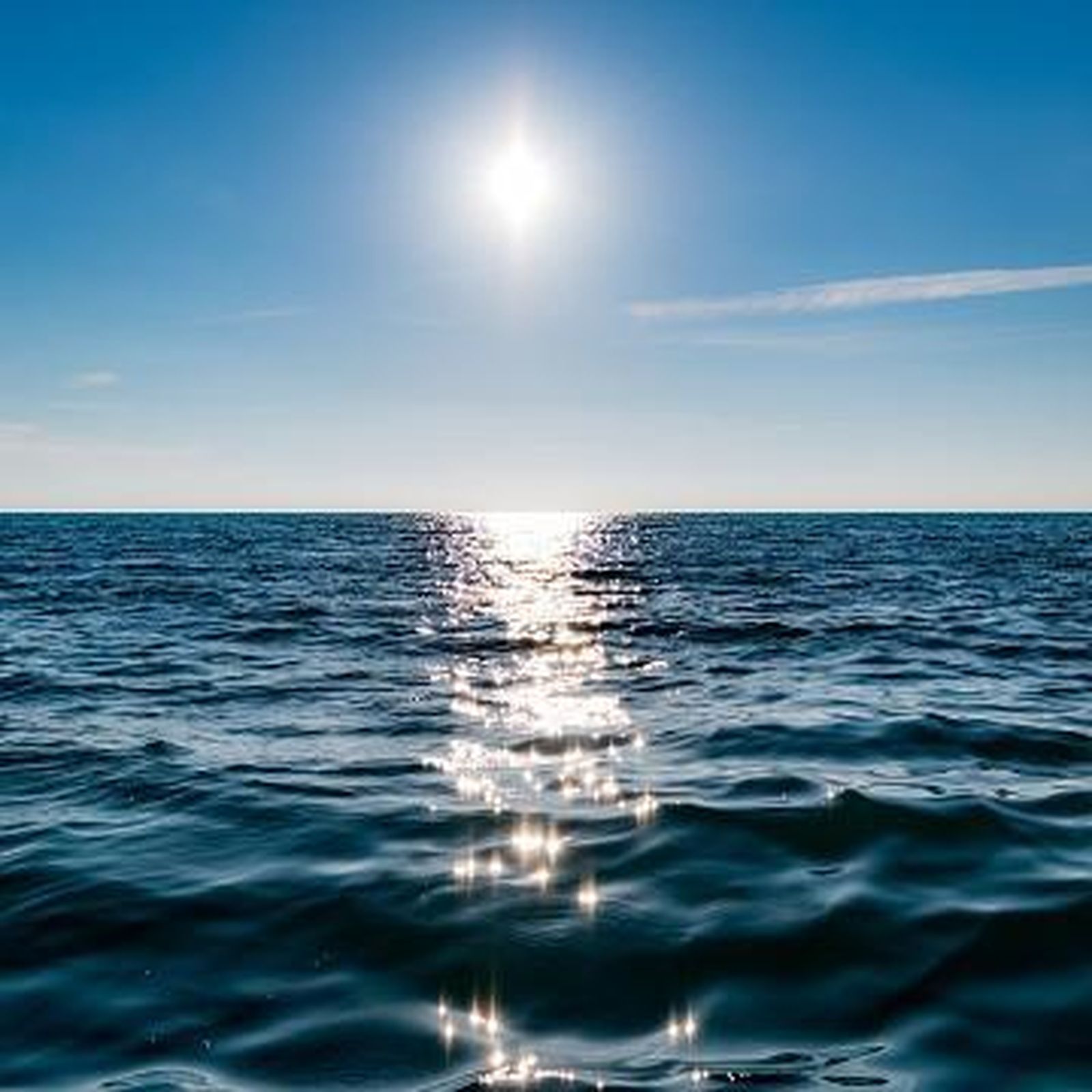 El mar de la sensibilidad