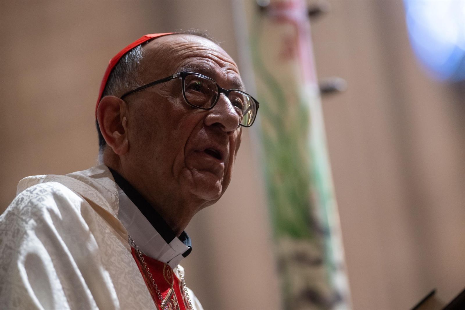 Cardenal Juan José Omella