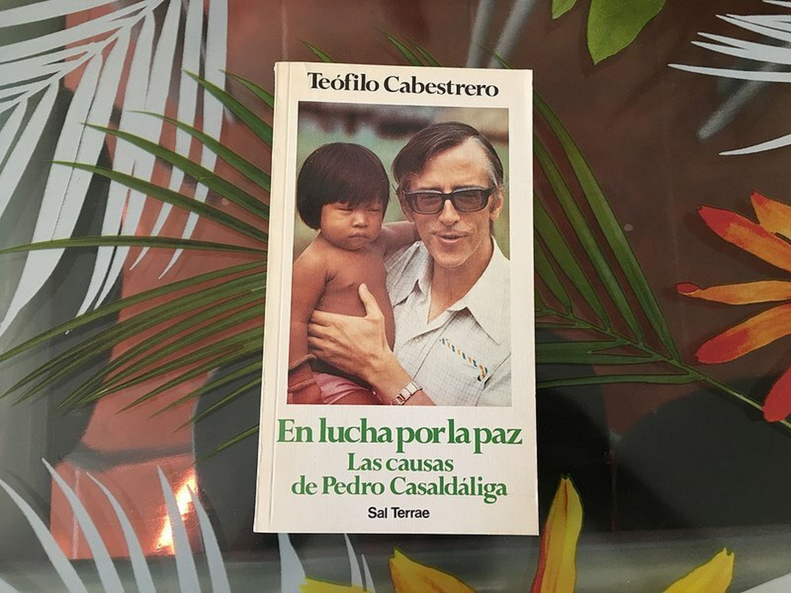 Libro de Teófilo sobre Casaldáliga