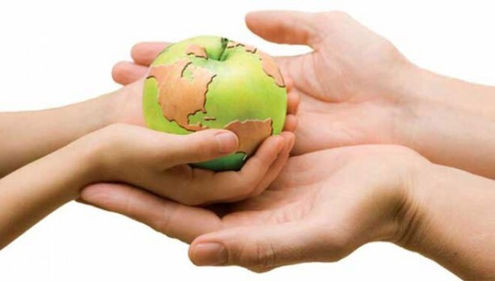 Seguridad alimentaria