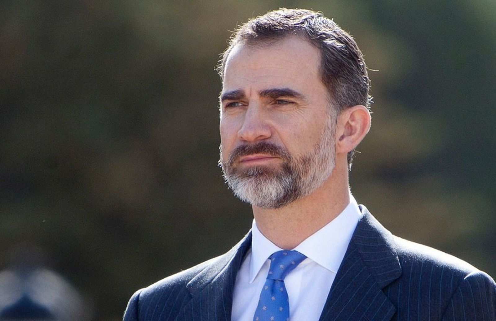 El rey Felipe VI