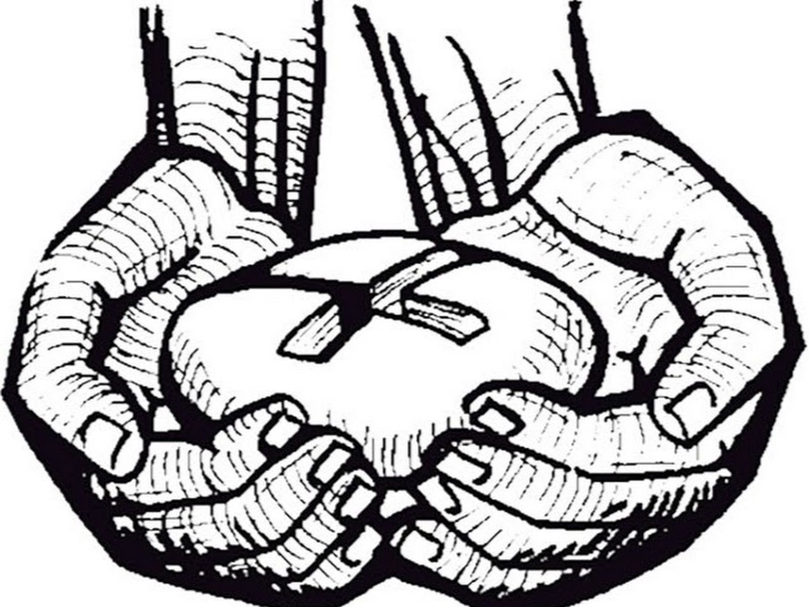 Magisterio Social de la Iglesia