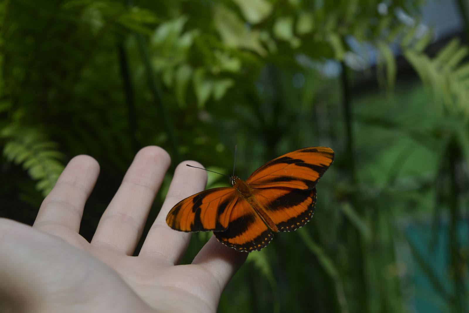 Jornadas “Sufrimiento al final de la vida ¿Cómo afrontarlo?”/ Sufrimendua bizitzaren amaieran. Nola aurre egin?”,  conclusiones