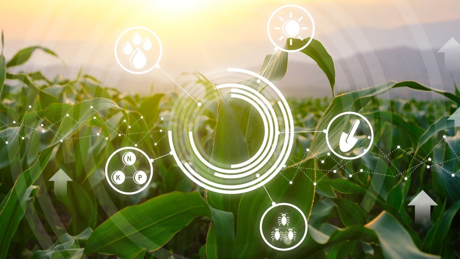 Tecnología aplicada al campo