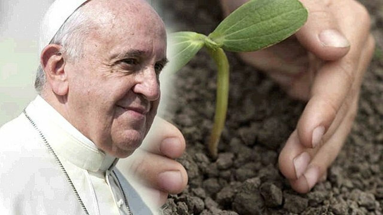 La Laudato Si' del Papa Francisco