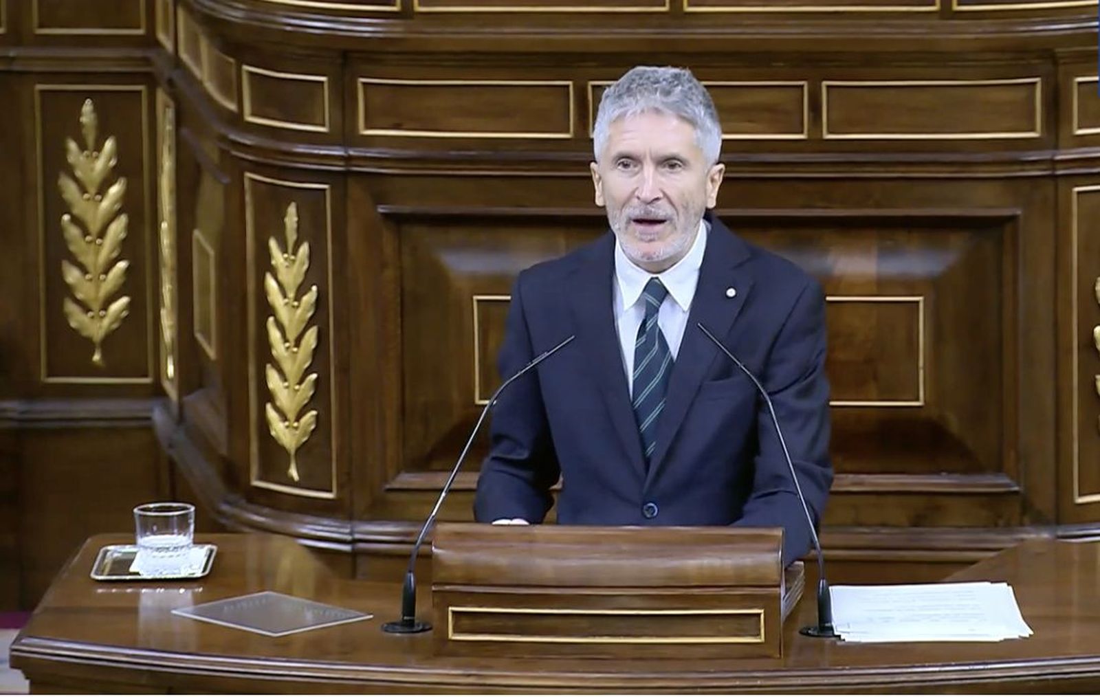 Fernando Grande-Marlaska, ministro del Interior