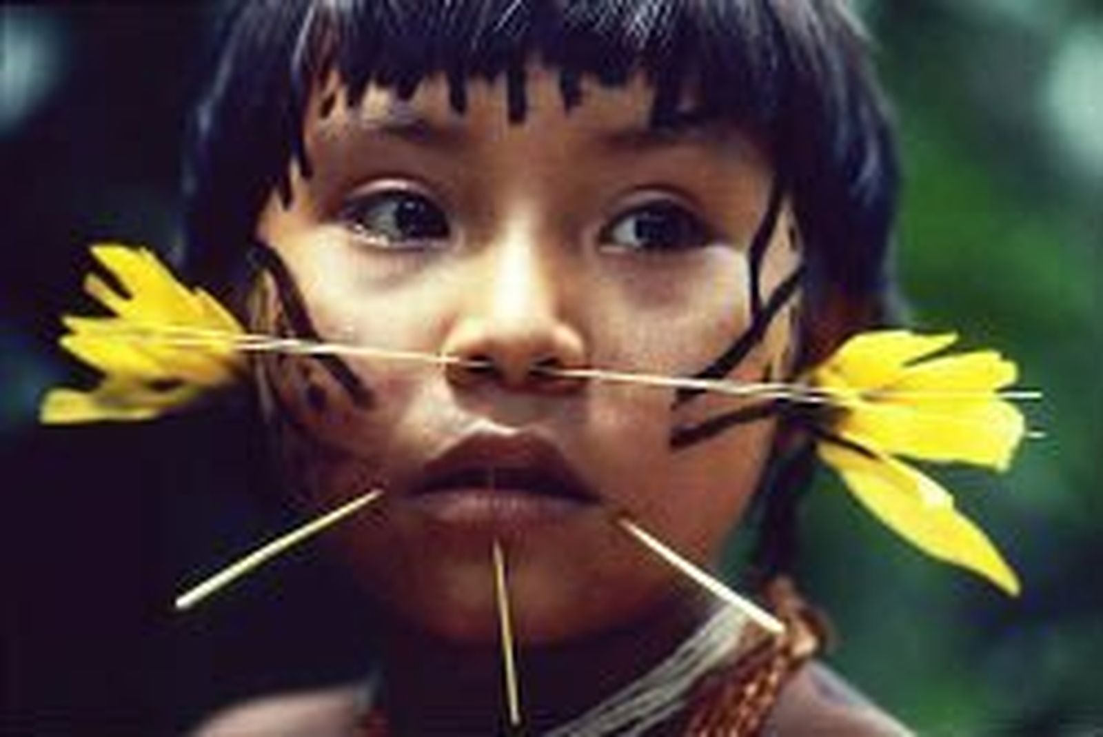 Indígena yanomami