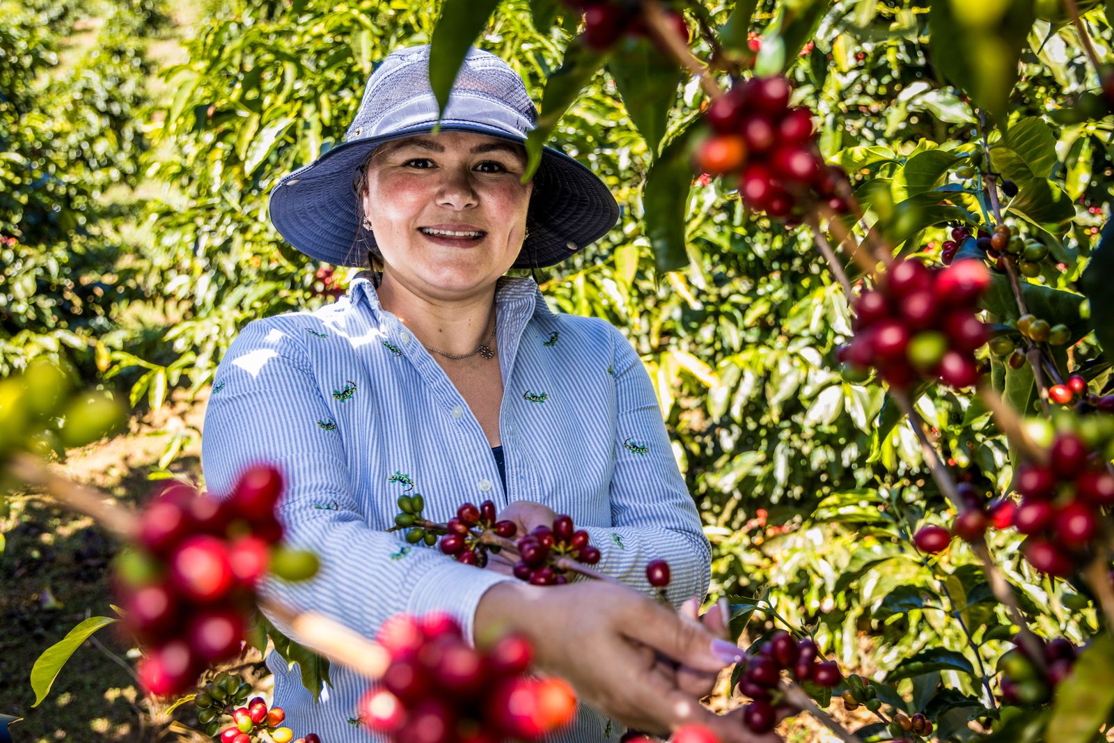 Oikocredit organiza el coloquio ‘La ruta del café: finanzas éticas y comercio justo’