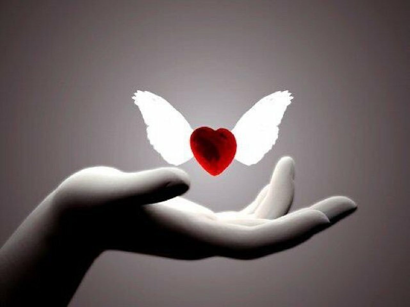 tiempo de misericordia