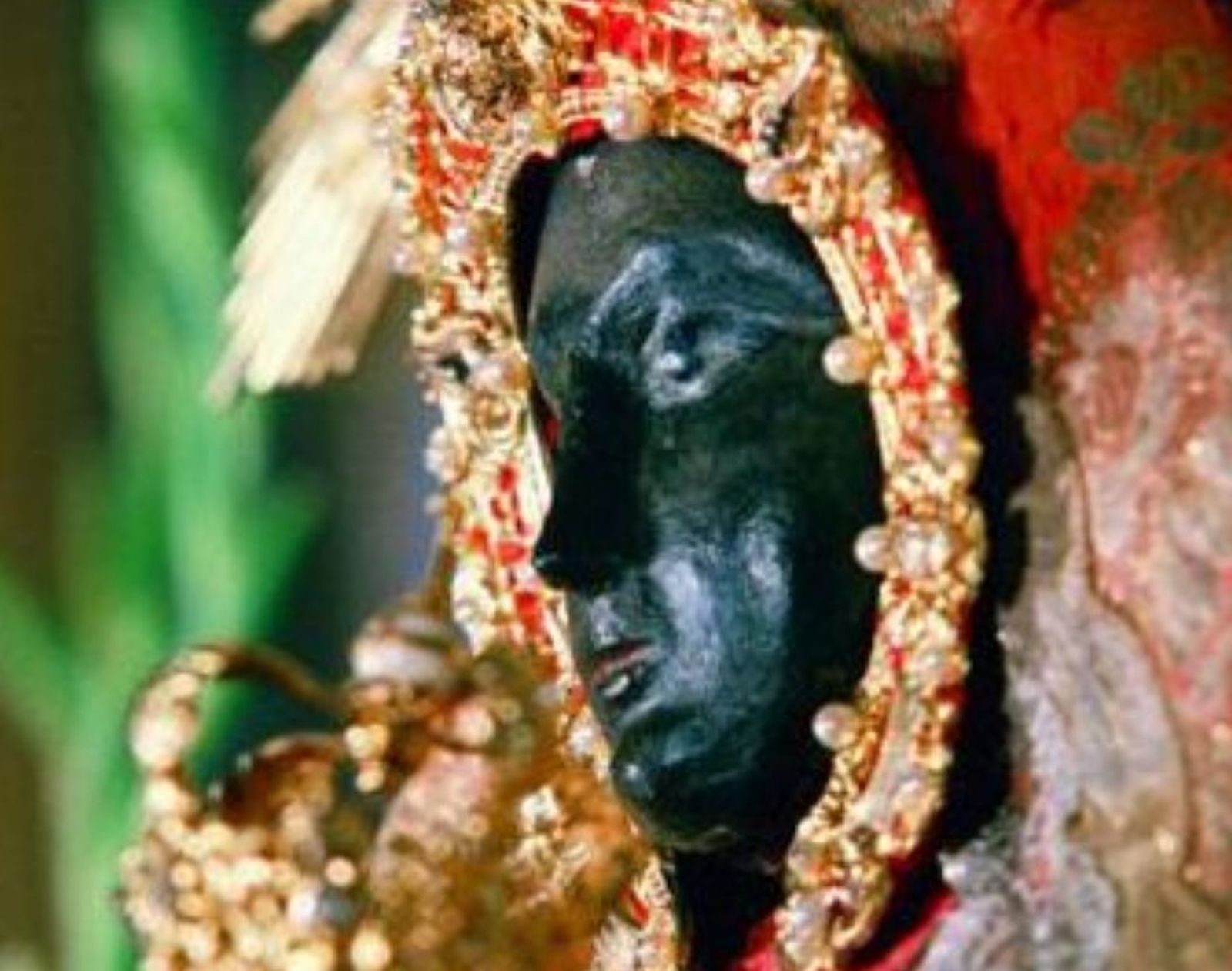 Casi toda la verdad sobre Guadalupe