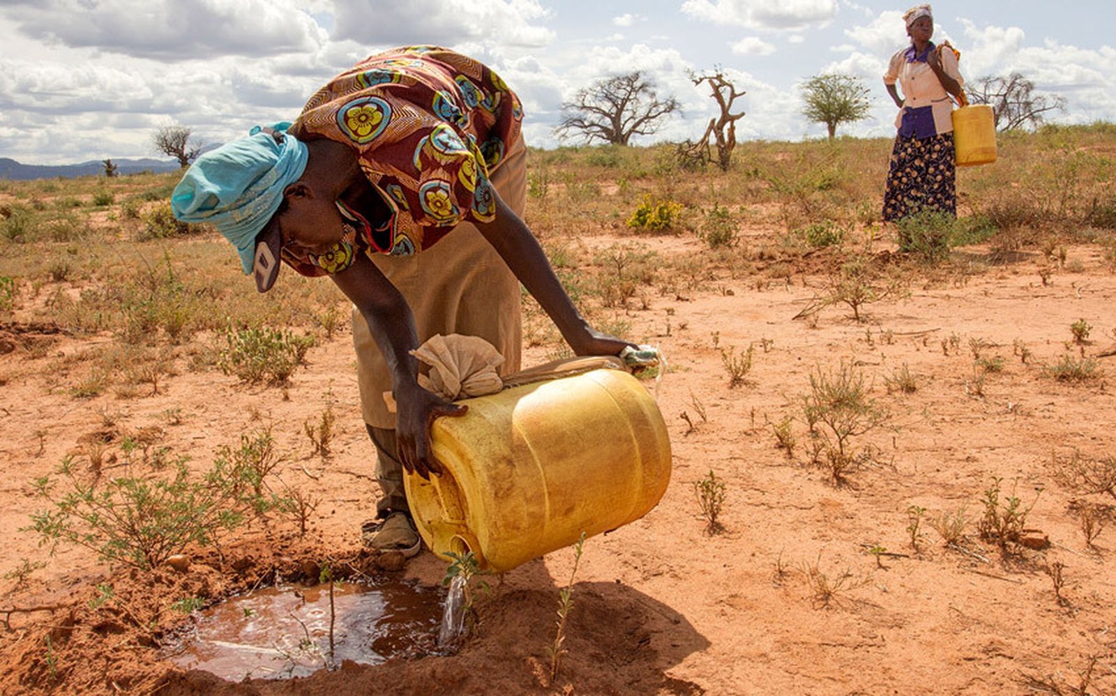 Laudate Deum: Fe y cuidado de la casa común, dos realidades inseparables