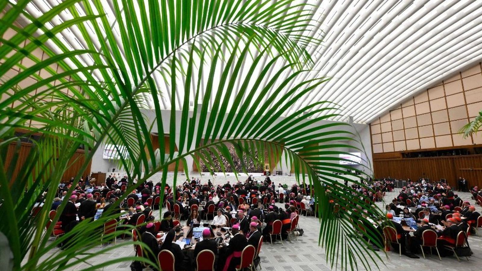 Las mesas redondas, dispuestas en el Aula Pablo VI