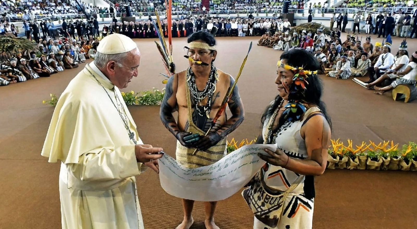 Papa, en la Amazonía