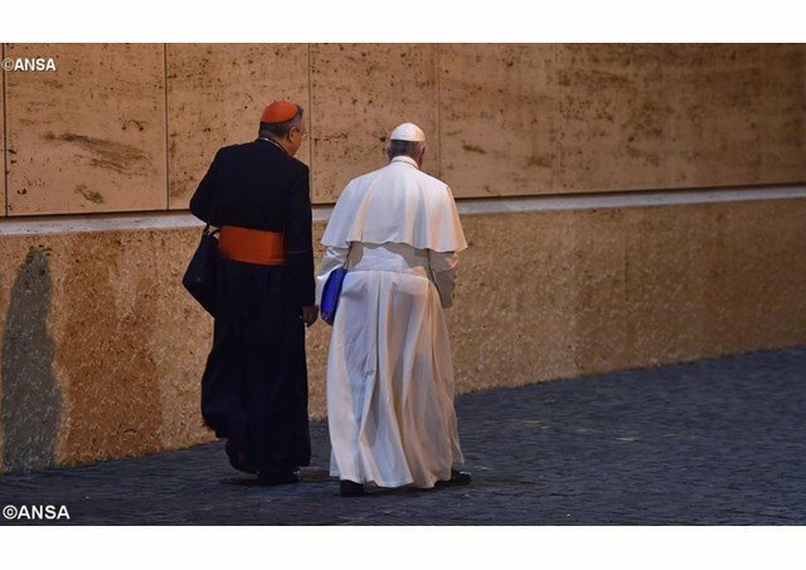 Maradiaga, con el Papa Francisco