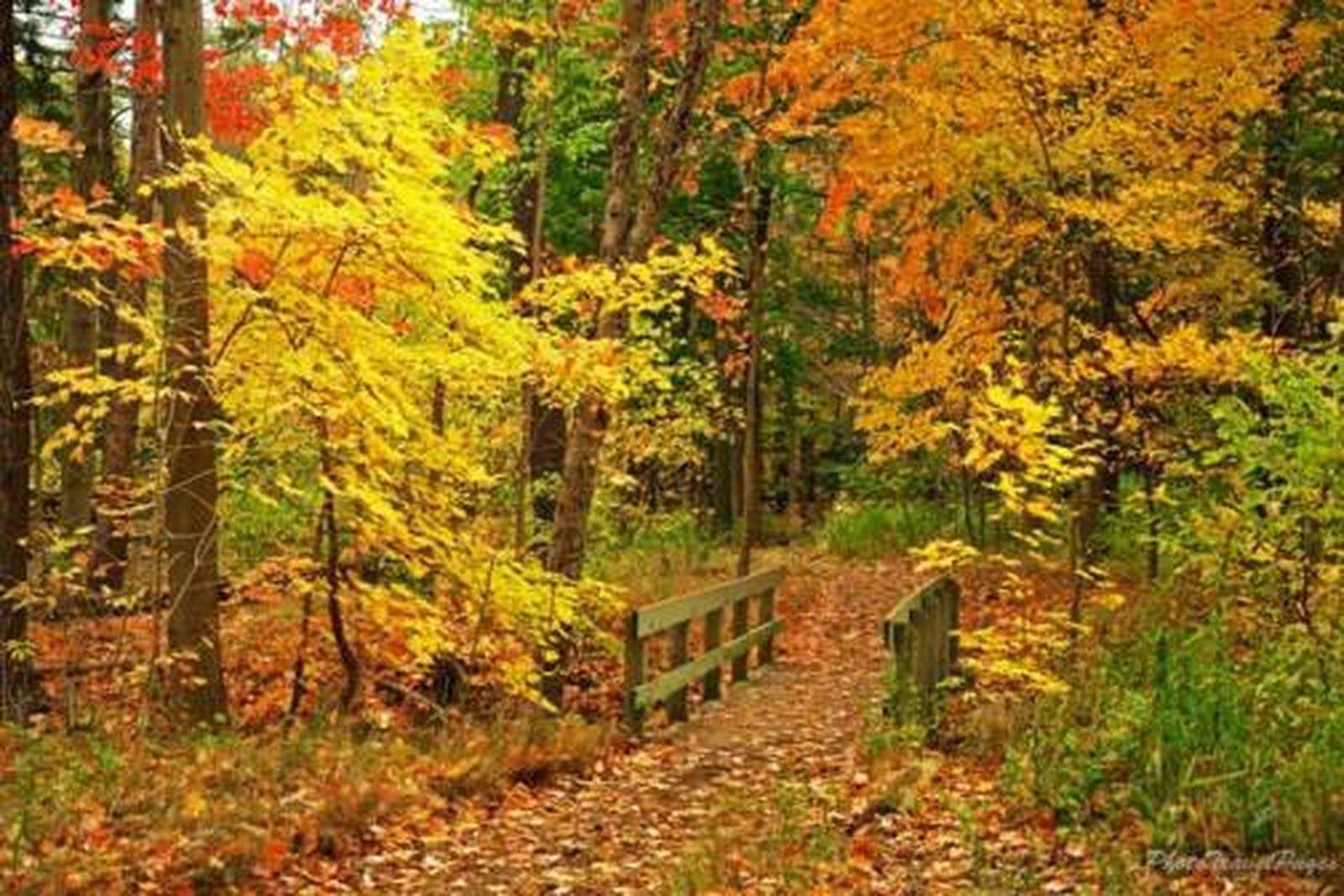 Abrir caminos de confianza