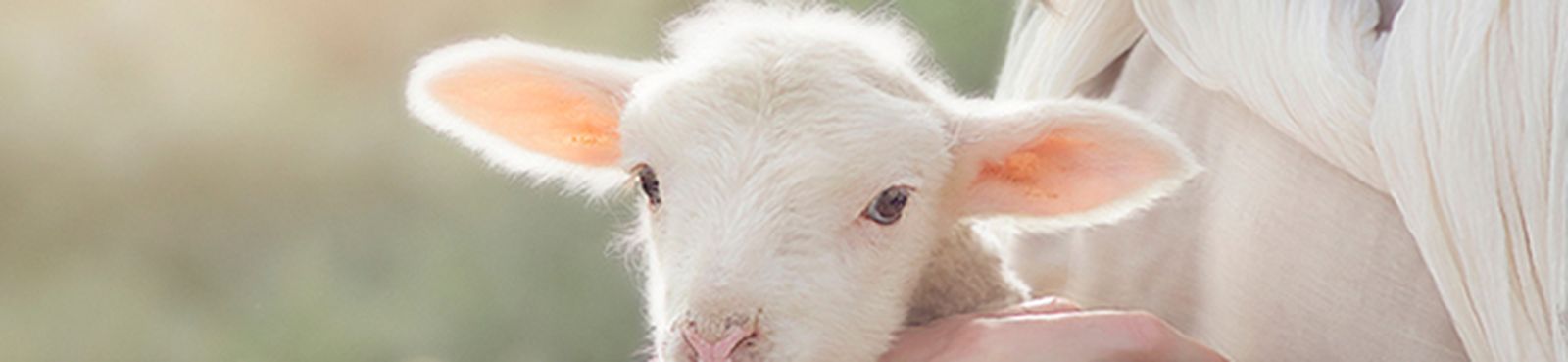 ad-coenam-agni-palestrina