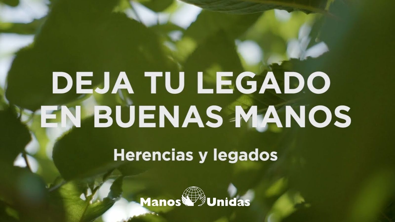 Testamento solidario