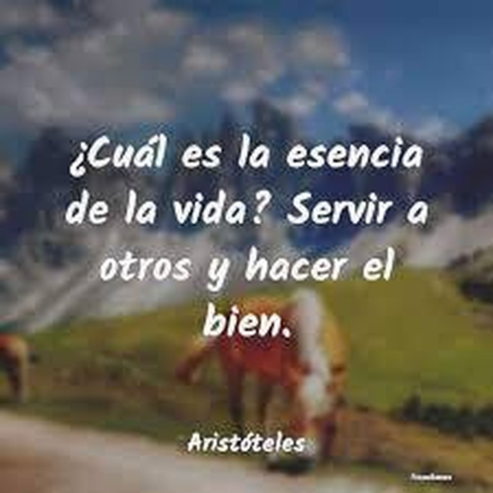 Descubrir la esencia de la vida