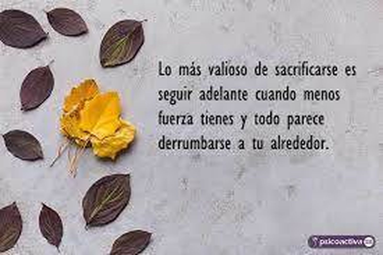 ¿Por qué o por quien nos sacrificamos?