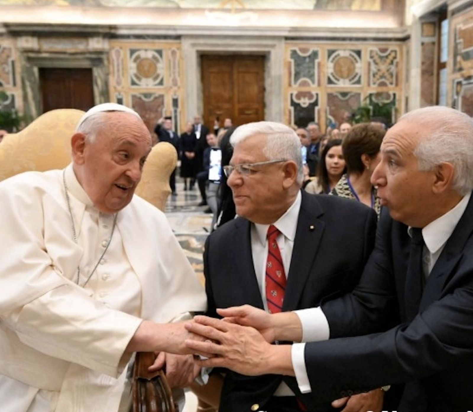 El Papa, con los promotores de la campaña '¡Gracias, Doctor!'