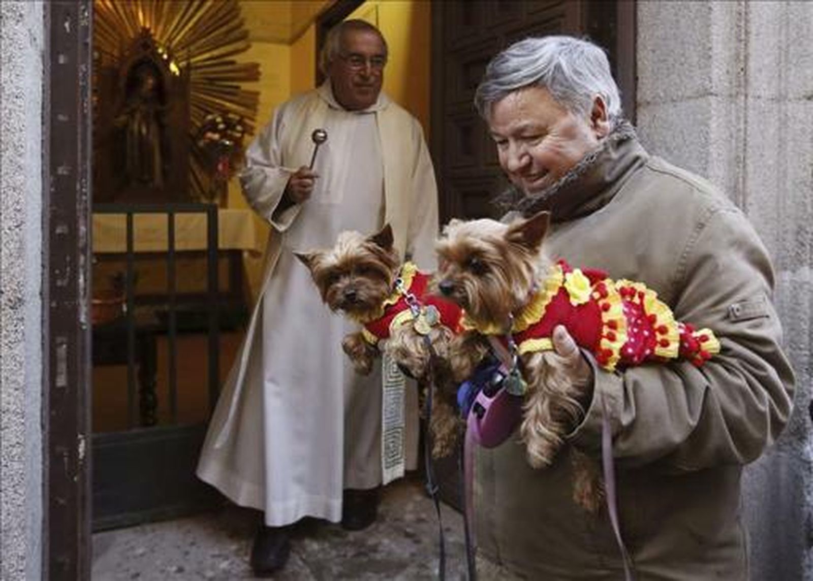 Perritos en San Antón