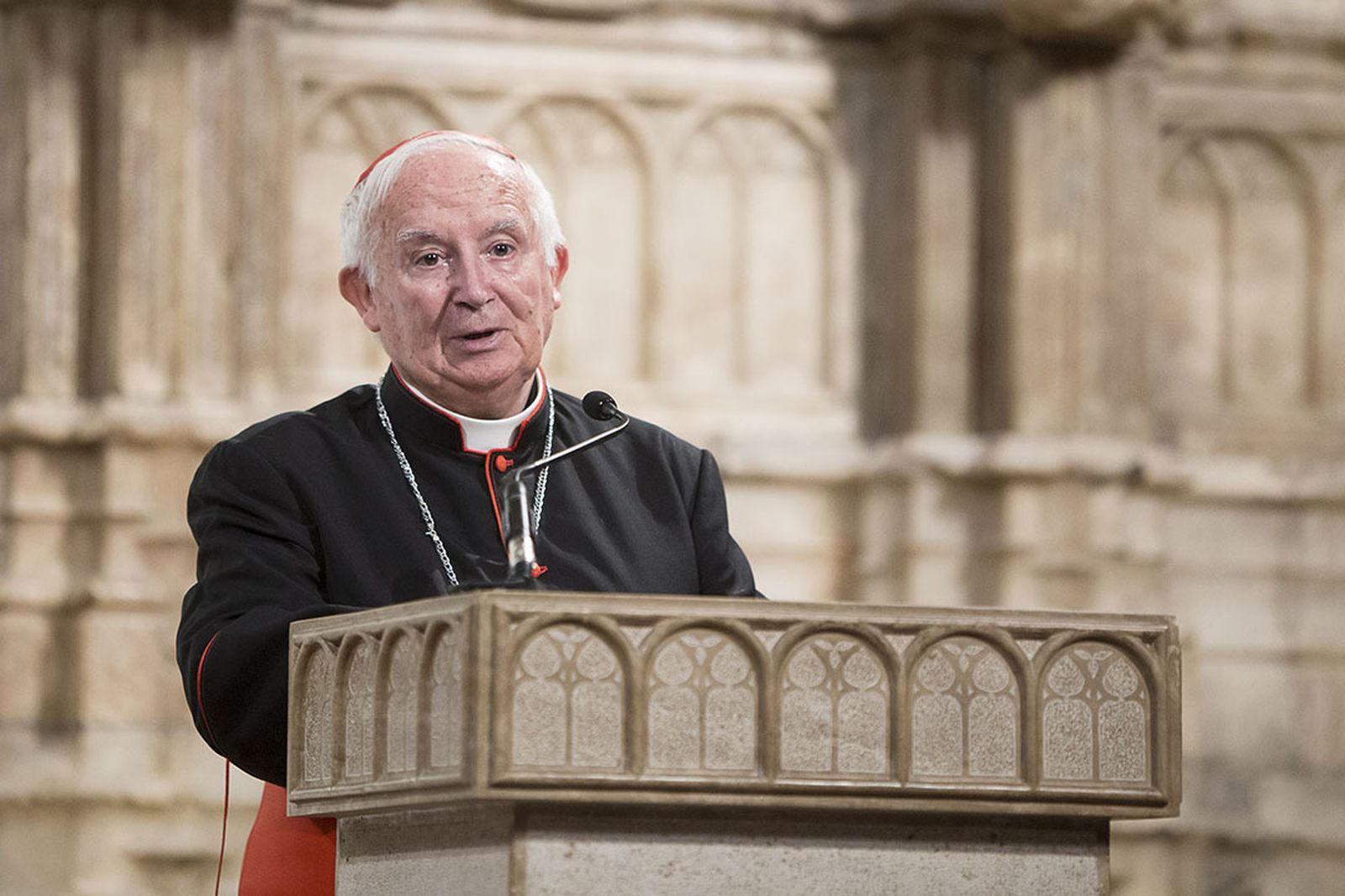 Cardenal-Cañizares