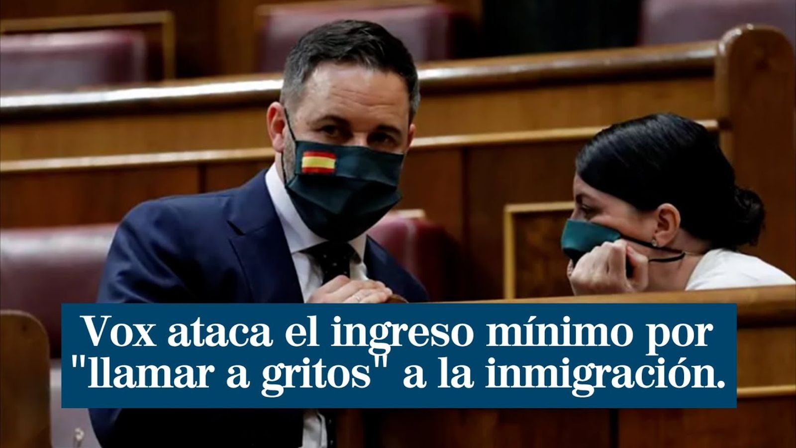 vox y el Ingreso Mínimo Vital