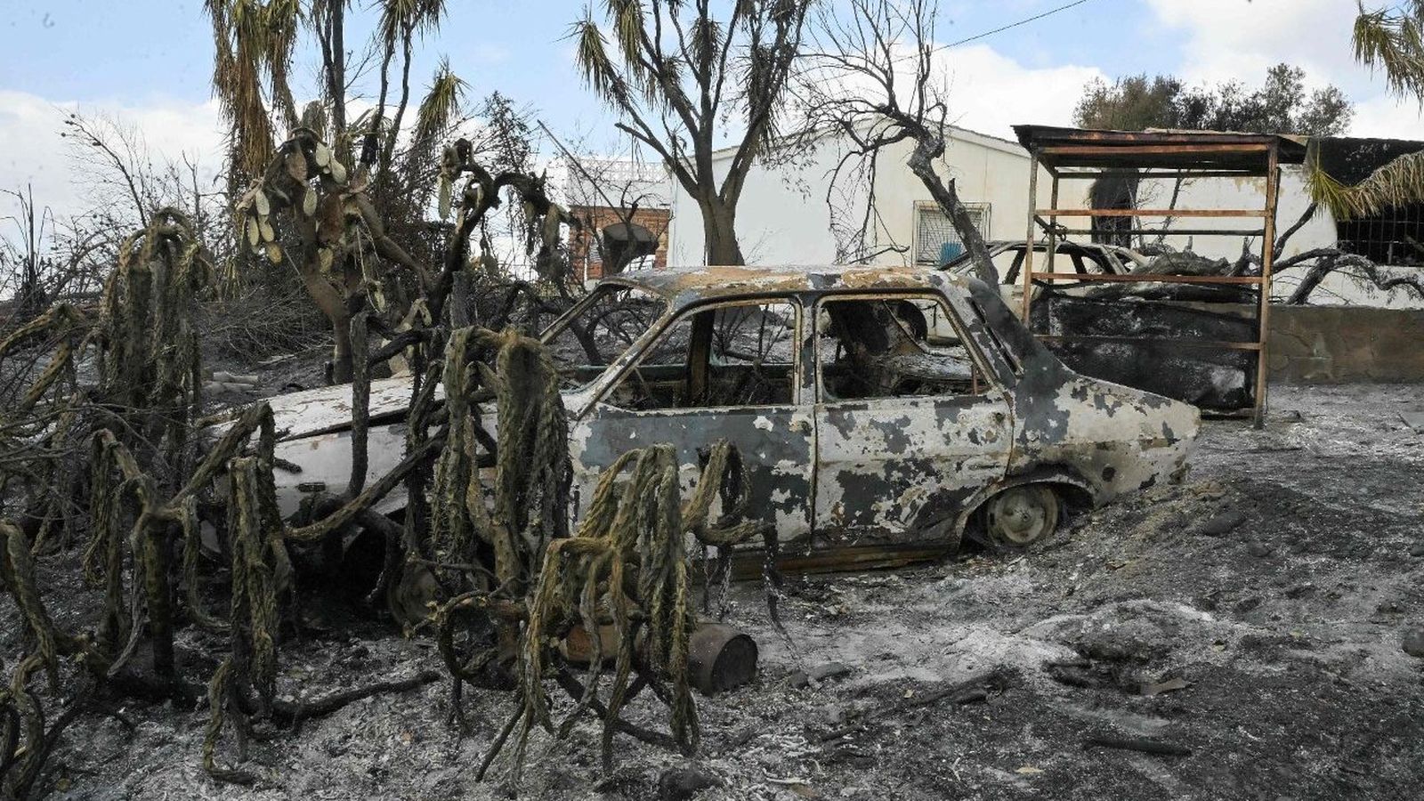 Incendios en Bedar y Los Gallardos